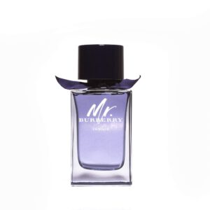 MR BURBERRY INDIGO EAU DE TOILETTE SPRAY FÜR HERREN VON BURBERRY 148 ML