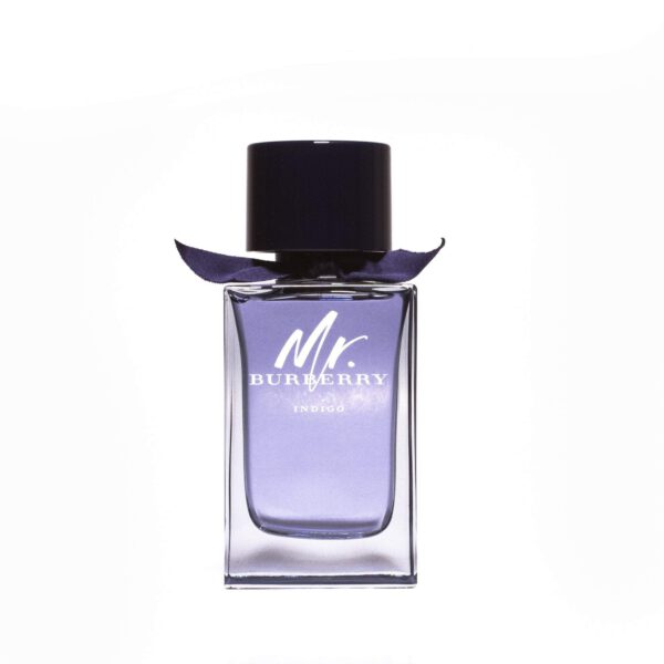 MR BURBERRY INDIGO EAU DE TOILETTE SPRAY FÜR HERREN VON BURBERRY 148 ML